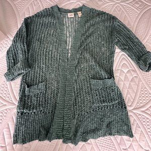 "Daytrip" brand cardigan sweater